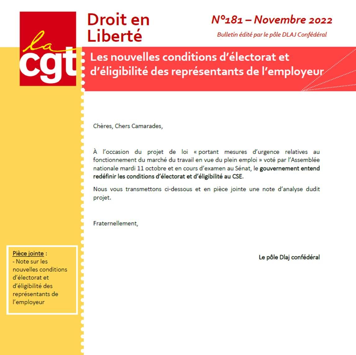 DROIT EN LIBERTE N°181 – Nouvelles conditions d&rsquo;électorat et l&rsquo;éligibilité du CSE